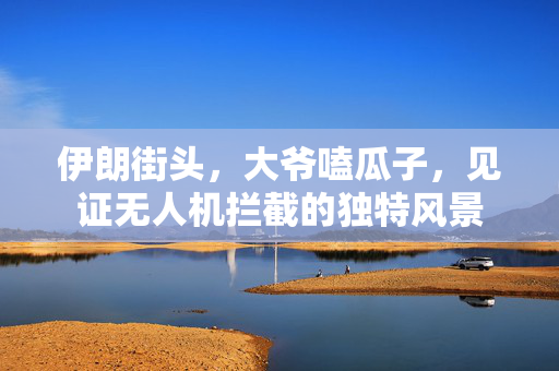 伊朗街头，大爷嗑瓜子，见证无人机拦截的独特风景