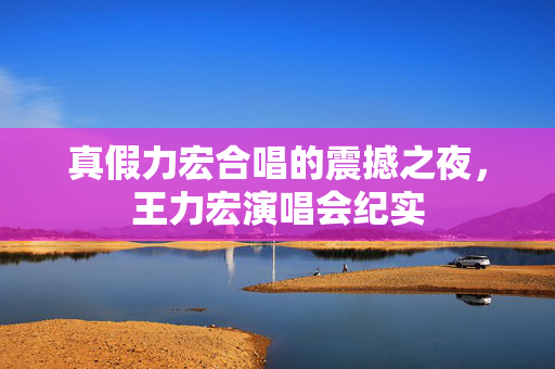 真假力宏合唱的震撼之夜，王力宏演唱会纪实