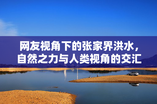 网友视角下的张家界洪水，自然之力与人类视角的交汇