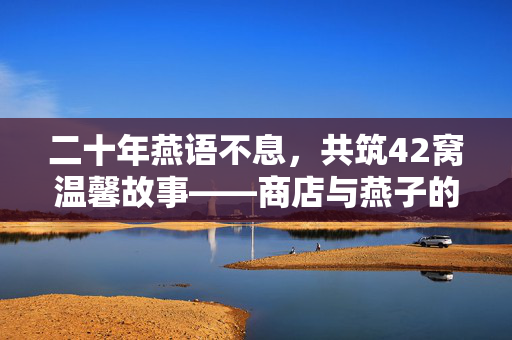 二十年燕语不息，共筑42窝温馨故事——商店与燕子的和谐共处