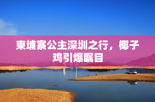 柬埔寨公主深圳之行，椰子鸡引爆瞩目