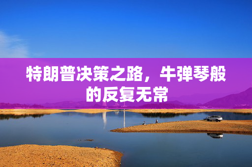特朗普决策之路，牛弹琴般的反复无常