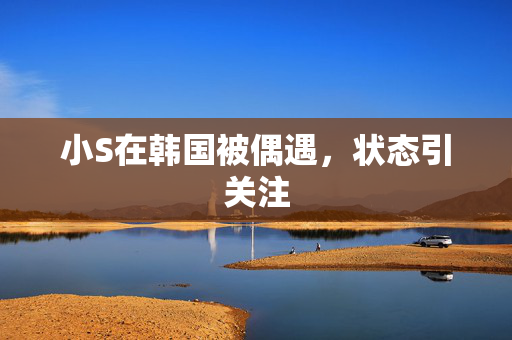 小S在韩国被偶遇，状态引关注