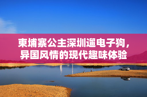 柬埔寨公主深圳遛电子狗，异国风情的现代趣味体验