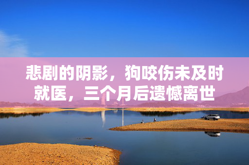 悲剧的阴影，狗咬伤未及时就医，三个月后遗憾离世
