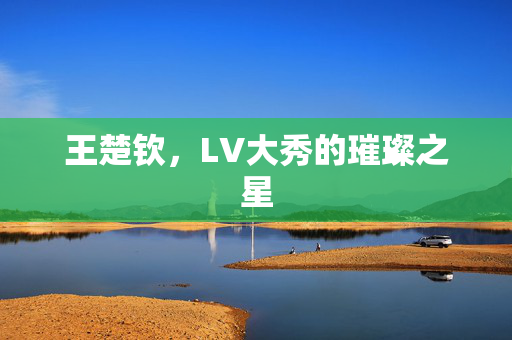 王楚钦，LV大秀的璀璨之星