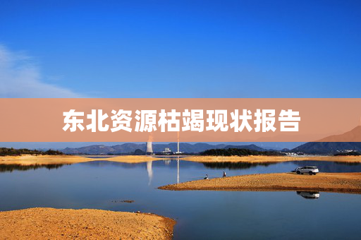 东北资源枯竭现状报告