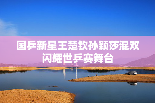 国乒新星王楚钦孙颖莎混双闪耀世乒赛舞台