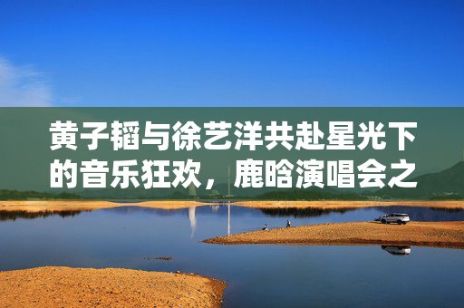 黄子韬与徐艺洋共赴星光下的音乐狂欢，鹿晗演唱会之旅