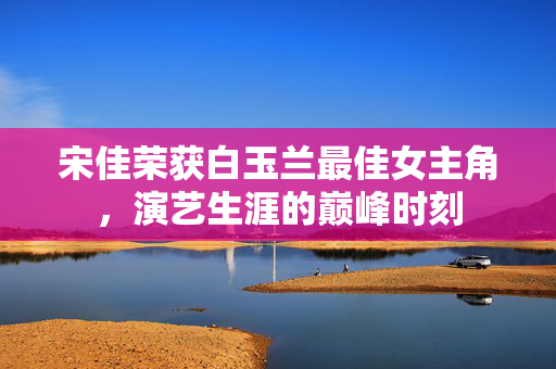 宋佳荣获白玉兰最佳女主角，演艺生涯的巅峰时刻