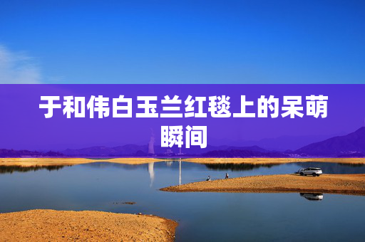 于和伟白玉兰红毯上的呆萌瞬间