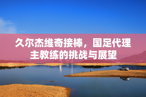 久尔杰维奇接棒，国足代理主教练的挑战与展望