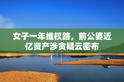 女子一年维权路，前公婆近亿资产涉贪疑云密布