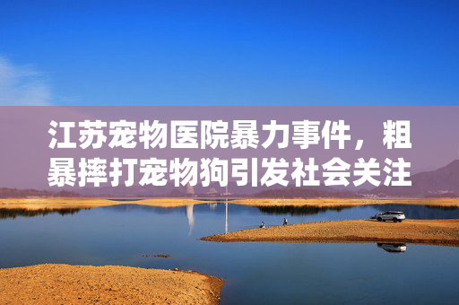 江苏宠物医院暴力事件，粗暴摔打宠物狗引发社会关注