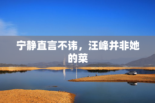 宁静直言不讳，汪峰并非她的菜