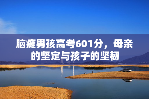 脑瘫男孩高考601分，母亲的坚定与孩子的坚韧