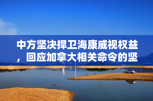 中方坚决捍卫海康威视权益，回应加拿大相关命令的坚决态度