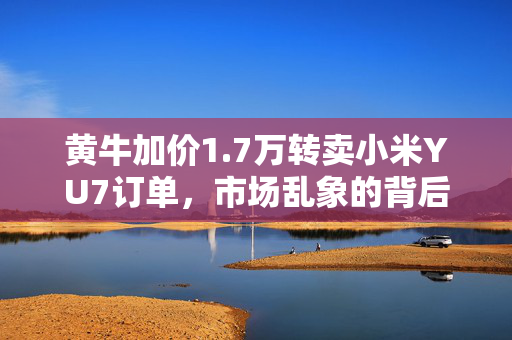 黄牛加价1.7万转卖小米YU7订单，市场乱象的背后思考