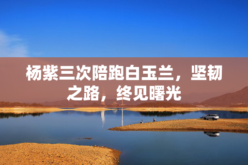 杨紫三次陪跑白玉兰，坚韧之路，终见曙光
