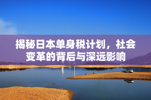 揭秘日本单身税计划，社会变革的背后与深远影响
