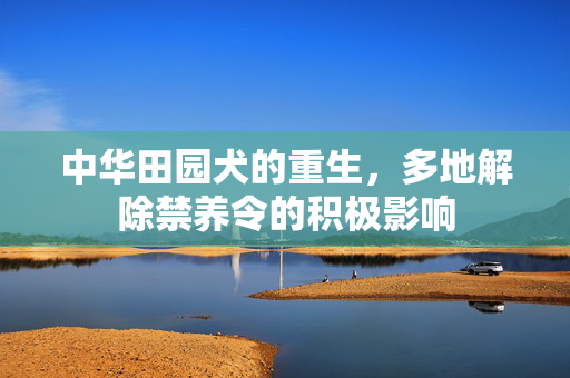 中华田园犬的重生，多地解除禁养令的积极影响