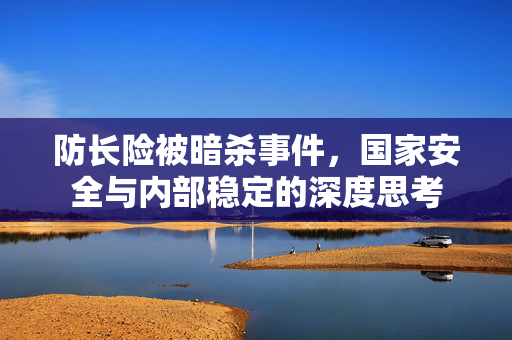 防长险被暗杀事件，国家安全与内部稳定的深度思考