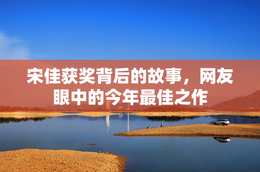 宋佳获奖背后的故事，网友眼中的今年最佳之作