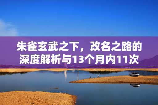 朱雀玄武之下，改名之路的深度解析与13个月内11次申请的探索