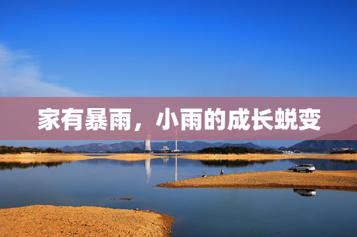 家有暴雨，小雨的成长蜕变