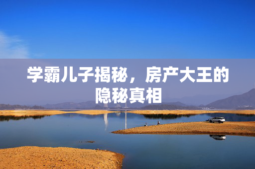 学霸儿子揭秘，房产大王的隐秘真相