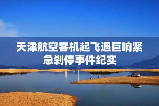 天津航空客机起飞遇巨响紧急刹停事件纪实