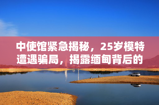 中使馆紧急揭秘，25岁模特遭遇骗局，揭露缅甸背后的陷阱