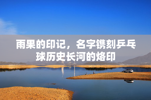 雨果的印记，名字镌刻乒乓球历史长河的烙印