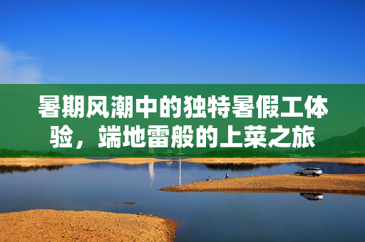 暑期风潮中的独特暑假工体验，端地雷般的上菜之旅