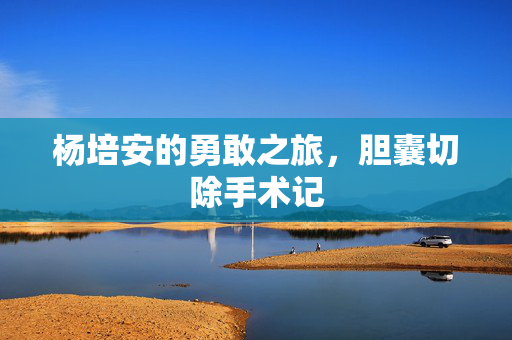 杨培安的勇敢之旅，胆囊切除手术记