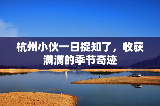 杭州小伙一日捉知了，收获满满的季节奇迹
