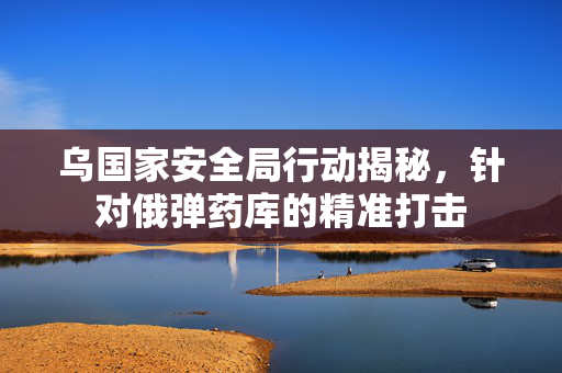 乌国家安全局行动揭秘，针对俄弹药库的精准打击