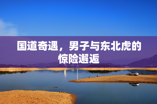 国道奇遇，男子与东北虎的惊险邂逅