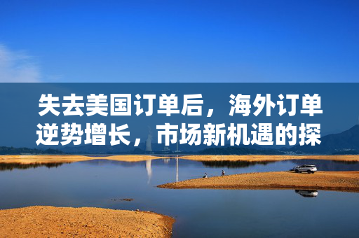 失去美国订单后，海外订单逆势增长，市场新机遇的探索与启示