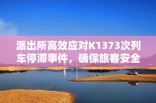 派出所高效应对K1373次列车停滞事件，确保旅客安全与权益