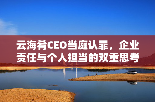 云海肴CEO当庭认罪，企业责任与个人担当的双重思考