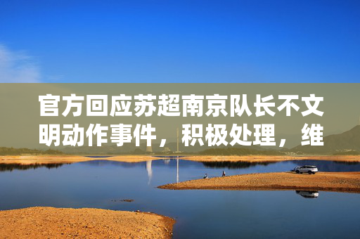 官方回应苏超南京队长不文明动作事件，积极处理，维护良好体育风尚