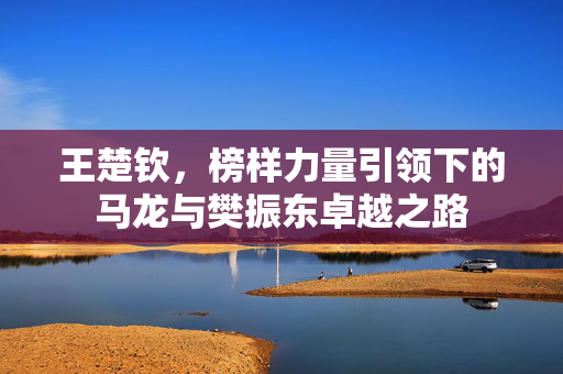 王楚钦，榜样力量引领下的马龙与樊振东卓越之路