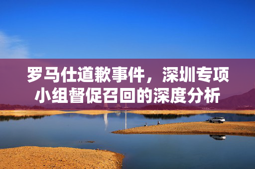 罗马仕道歉事件，深圳专项小组督促召回的深度分析