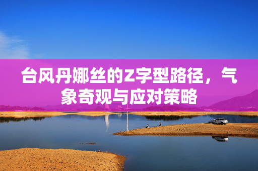 台风丹娜丝的Z字型路径，气象奇观与应对策略