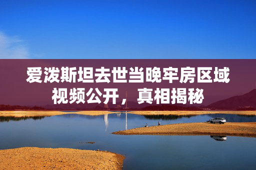 爱泼斯坦去世当晚牢房区域视频公开，真相揭秘