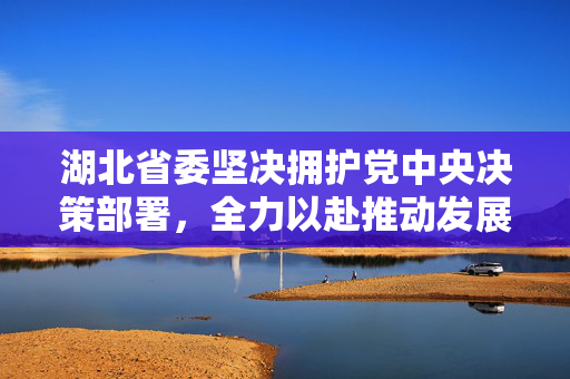 湖北省委坚决拥护党中央决策部署，全力以赴推动发展。