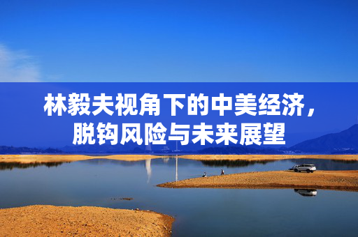 林毅夫视角下的中美经济，脱钩风险与未来展望