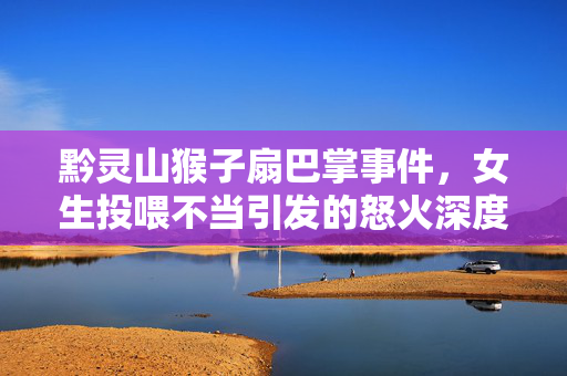 黔灵山猴子扇巴掌事件，女生投喂不当引发的怒火深度解析