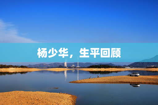 杨少华，生平回顾